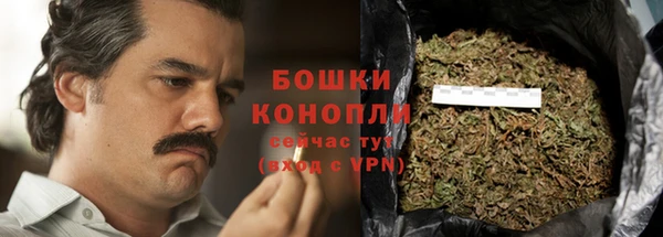 ПСИЛОЦИБИНОВЫЕ ГРИБЫ Волосово