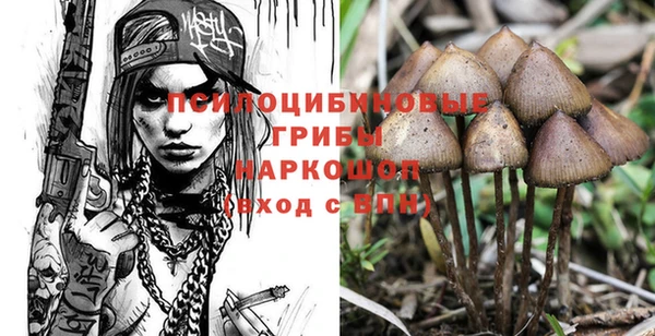 мяу мяу мука Горняк
