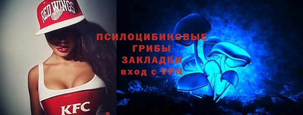 ПСИЛОЦИБИНОВЫЕ ГРИБЫ Волосово