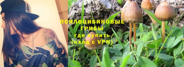 ПСИЛОЦИБИНОВЫЕ ГРИБЫ Волосово