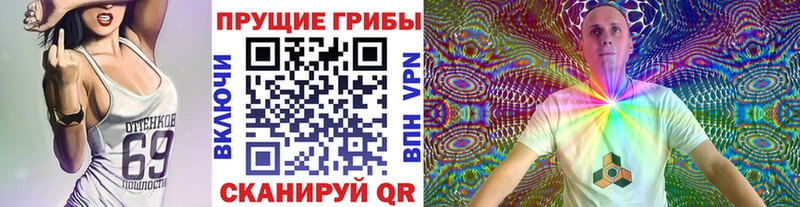 OMG зеркало  Грязовец  Псилоцибиновые грибы прущие грибы  сколько стоит 